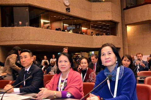 越南出席第22届红十字会与红新月会国际联合会大会