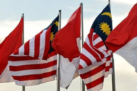 马来西亚和印度尼西亚同意使用无人机巡逻边境