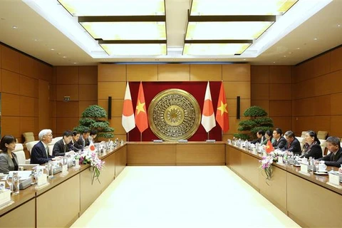 加强越南与日本的议会合作
