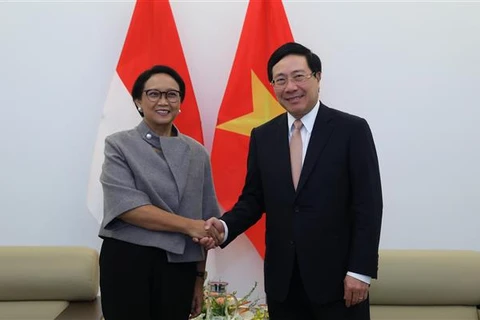 越南政府副总理兼外长范平明同印尼外长举行会谈 