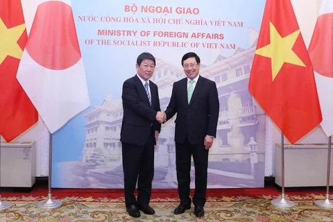 政府副总理兼外长范平明与日本外务省大臣举行会谈
