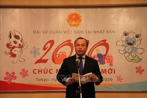 旅外越南人纷纷举行活动 喜迎2020庚子鼠年新春