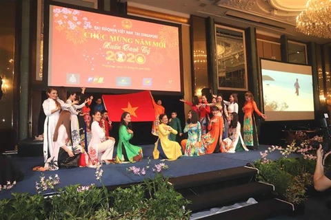 越南驻外使馆纷纷开展迎新春活动