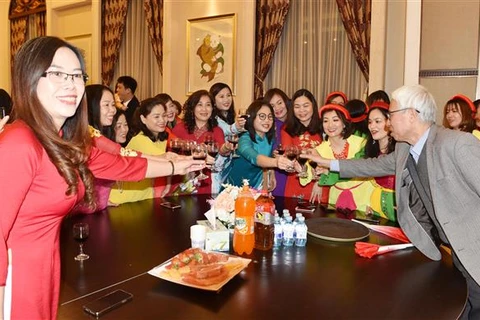 越南驻外使领馆纷纷举行春节招待会