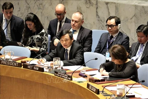 越南与联合国安理会：越南主持召开联合国安理会关于以色列和巴基斯坦局势公开会