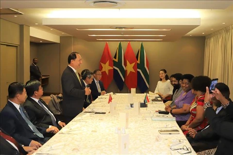 南非将越南视为该国在东南亚的头等重要伙伴之一