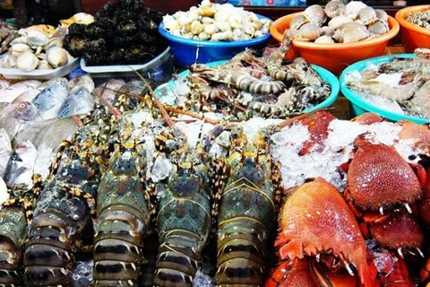 受疫情影响印尼限制从中国进口的活鱼