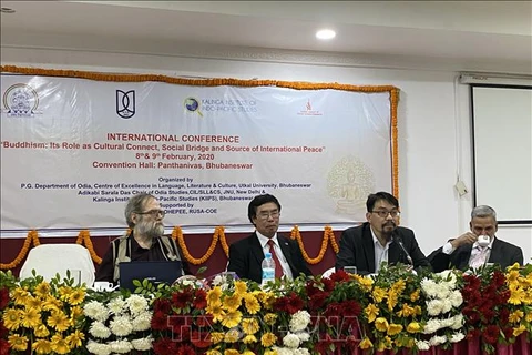 越南出席印度佛教国际研讨会