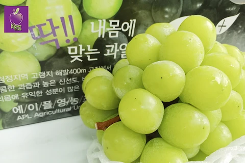 越南成为韩国葡萄最大进口市场
