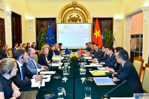 越南-欧盟政治事务小组第一次会议新闻公报