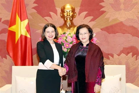 越南国会主席阮氏金银会见澳大利亚驻越南大使罗宾•穆迪