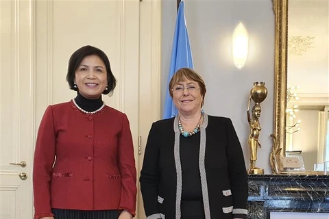 联合国人权事务高级专员高度评价越南在促进和维护人权方面取得的成就