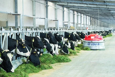 越南一家乳制品生产厂获得对华出口资格
