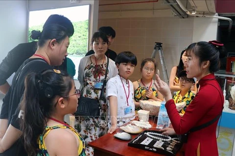 坚江省开展配套的新冠肺炎疫情防控措施 让游客放心前来参观游览