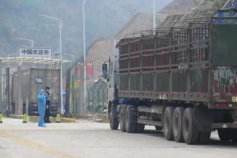 谅山省集中解决边境口岸货物进出口活动中出现的困难