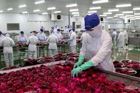 越南努力扩大农产品出口市场 