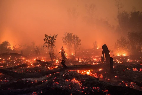 印尼进行人工降雨以扑灭森林火灾