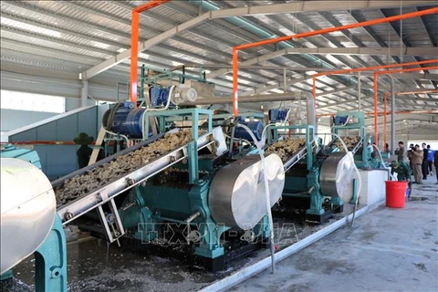 越南橡胶工业集团在越南北部投资兴建三个加工厂