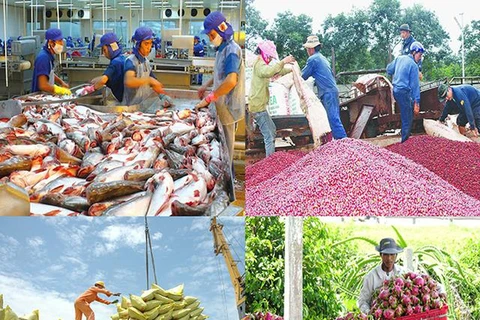 EVFTA: 为越南农产品拓宽市场