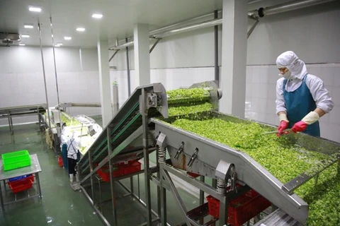 越南企业致力对俄罗斯出口蔬菜罐头树立越南品牌形象