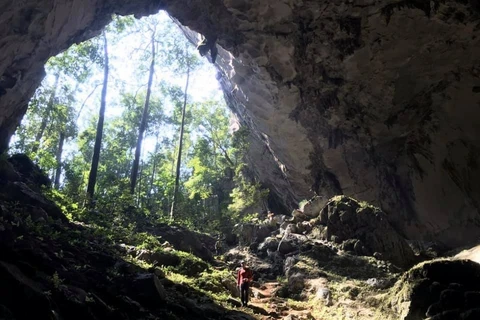 广平省新发现未被踏足的12个洞穴
