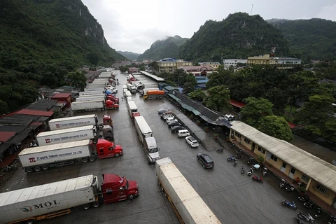 越南农业与农村发展部建议企业暂停将货物运往谅山省边境口岸