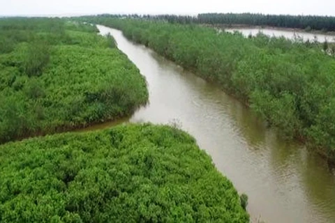减轻经济社会发展活动对太平省太瑞湿地保护区带来的负面影响
