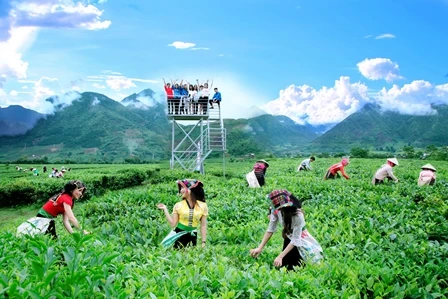 莱州省碳渊县首个农家乐旅游模式