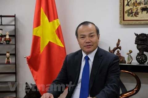 武洪南大使：越南与日本在新冠肺炎疫情防疫工作中紧密合作
