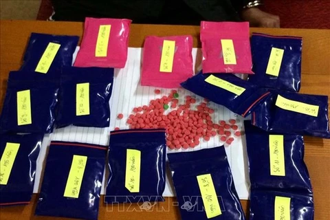 乂安省：抓获一名私藏3000粒合成毒品嫌疑人 