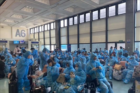 越南将340多名越南公民从中国台湾接回国