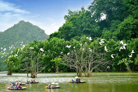 竭尽全力促进旅游业复苏 推广越南安全旅游目的地的形象