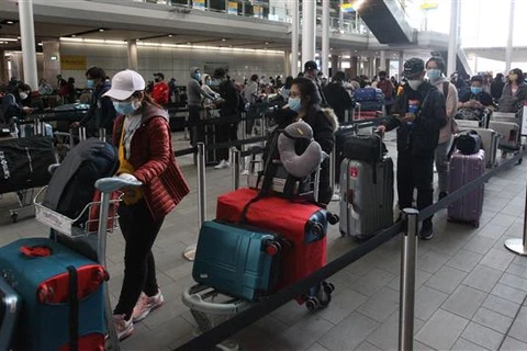 近340名越南公民从英国安全返回越南