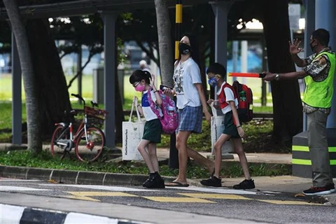 东南亚部分国家的新冠肺炎疫情形势：新加坡新增确诊病例中至少一半无症状