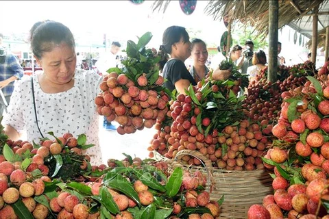 EVFTA协定：提高越南农产品的增值链