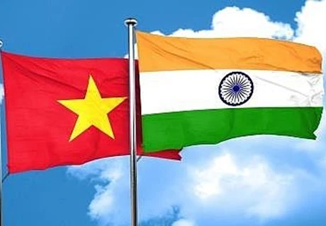 公共外交与印度—越南合作关系