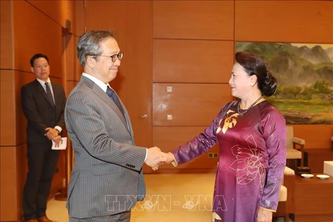 越南国会主席阮氏金银会见日本和柬埔寨驻越大使