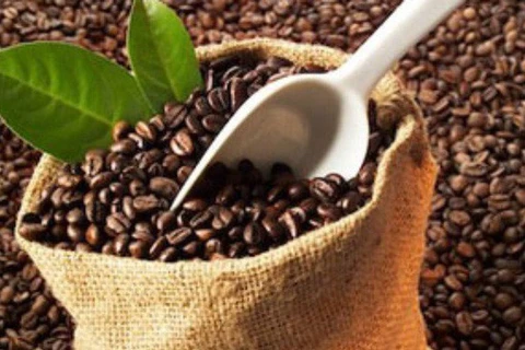 越南咖啡应注重开拓北非市场