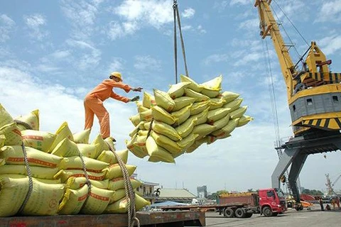 越南农产品价格一周回顾：稻谷和大米价格小幅上涨