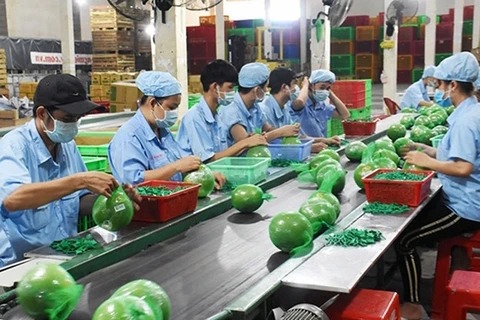 越南槟椥省为中小型企业对接资金