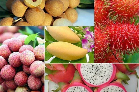 越南农产品出口连续迎来喜讯
