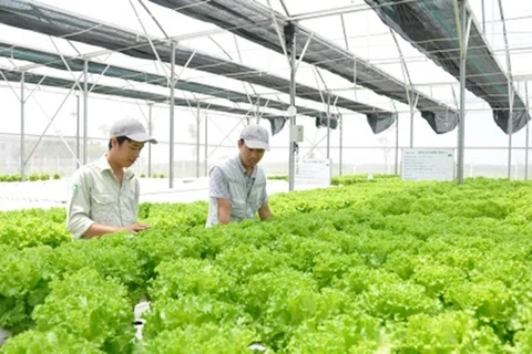 越南农业利用第四次工业革命成就实现发展