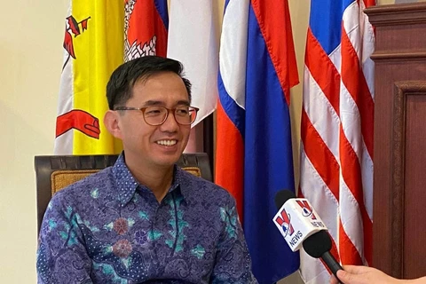 越南驻印尼大使：越南是东盟积极、主动、负责任的一员
