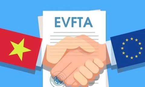 有效利用EVFTA带来的机会