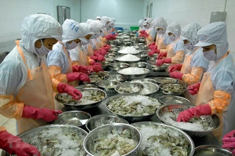 树立起越南虾类品牌形象