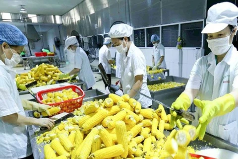《越南与欧盟自由贸易协定》: 越南农产品提高质量和创建品牌