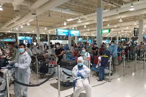 新冠肺炎疫情：在阿联酋的260名越南公民安全回国