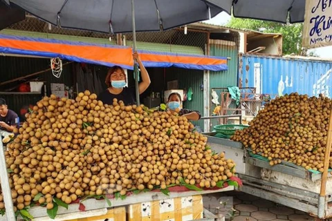 检疫工作被停止 越南农产品出口困难重重