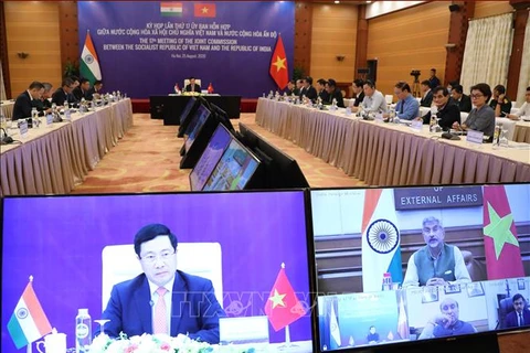 国际媒体：越南与印度关系日益密切 