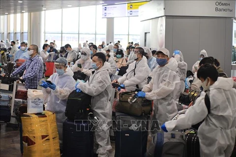 新冠肺炎疫情：将在俄罗斯的逾340名越南公民接回国